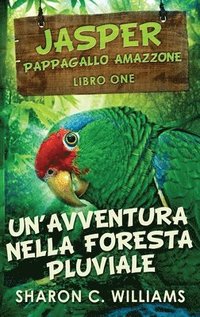 bokomslag Un'avventura Nella Foresta Pluviale