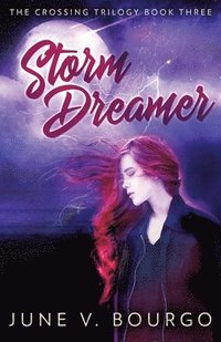 bokomslag Storm Dreamer