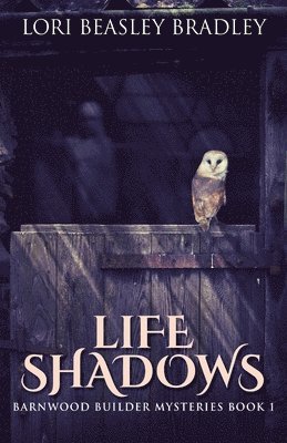 Lori Beasley Bradley - Life Shadows, Häftad