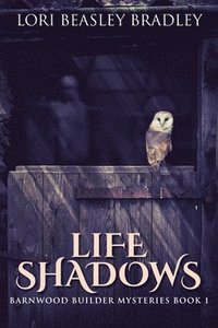 bokomslag Life Shadows