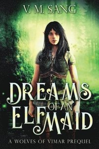 bokomslag Dreams Of An Elf Maid