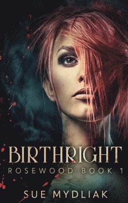 bokomslag Birthright