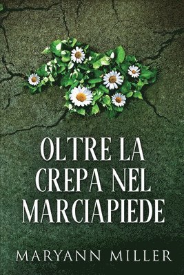 Oltre La Crepa Nel Marciapiede 1