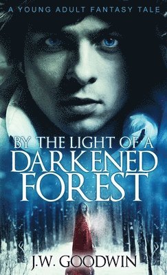 By The Light of a Darkened Forest 1