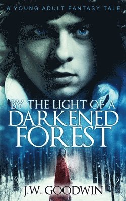 By The Light of a Darkened Forest 1