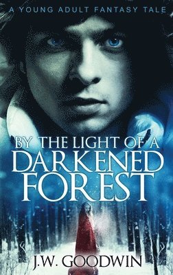 By The Light of a Darkened Forest 1