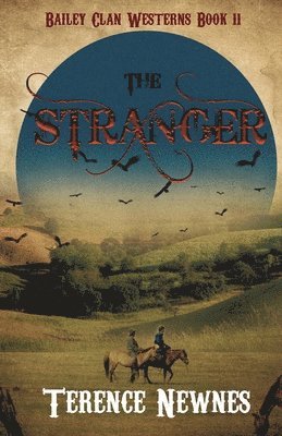 bokomslag Stranger