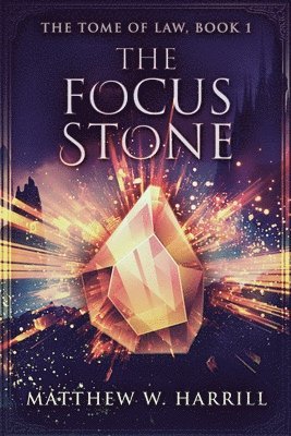 bokomslag The Focus Stone
