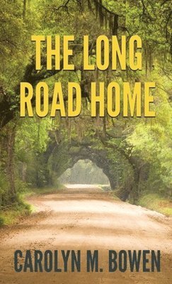 bokomslag Long Road Home