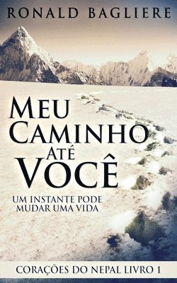 Ronald Bagliere - Meu Caminho Até Você, Häftad