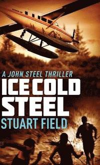 bokomslag Ice Cold Steel