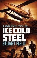 bokomslag Ice Cold Steel