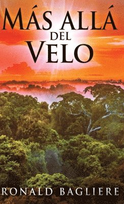 bokomslag Más allá del Velo