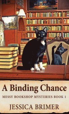 A Binding Chance 1