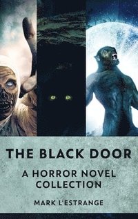 bokomslag Black Door