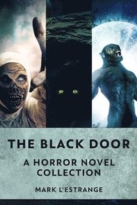 bokomslag Black Door