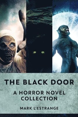 The Black Door 1