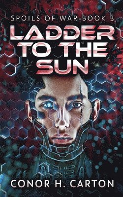 Ladder To The Sun 1