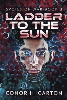 Ladder To The Sun 1