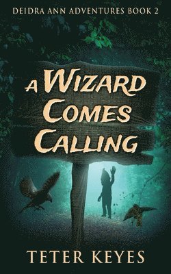 Wizard Comes Calling