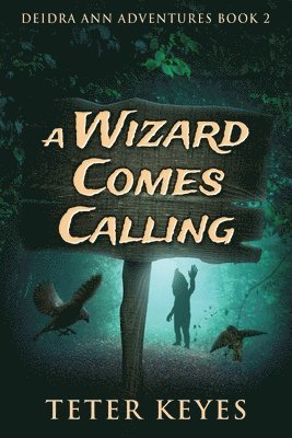 A Wizard Comes Calling 1