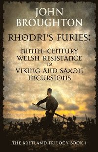 bokomslag Rhodri's Furies