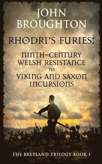 bokomslag Rhodri's Furies