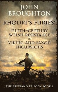 bokomslag Rhodri's Furies