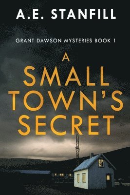 A E Stanfill - Small Town's Secret, Häftad