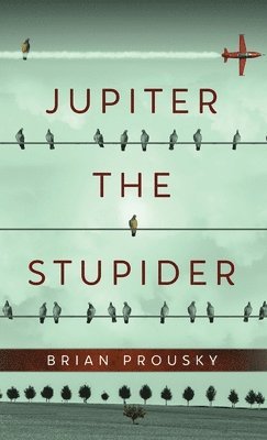 Brian Prousky - Jupiter the Stupider, Inbunden