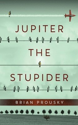 Brian Prousky - Jupiter the Stupider, Häftad