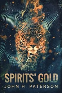 bokomslag Spirits' Gold