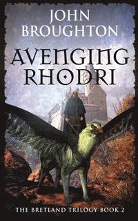 bokomslag Avenging Rhodri