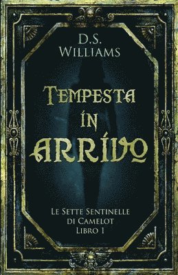 D S Williams - Tempesta in arrivo, Häftad