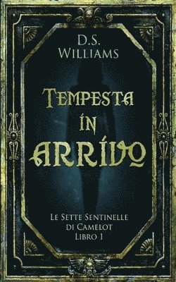 D S Williams - Tempesta in arrivo, Häftad