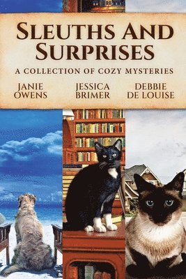 Sleuths and Surprises 1