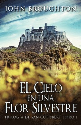 John Broughton - Cielo en una Flor Silvestre, Häftad