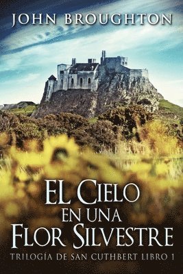 John Broughton - Cielo en una Flor Silvestre, Häftad