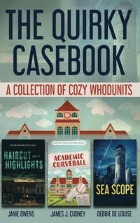 bokomslag Quirky Casebook