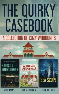 bokomslag Quirky Casebook