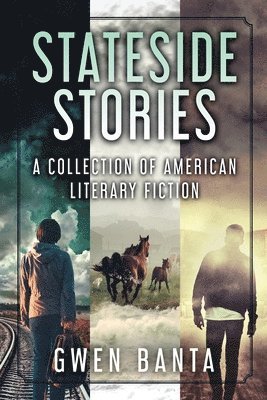 bokomslag Stateside Stories