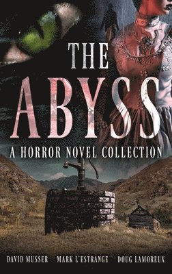 bokomslag The Abyss