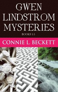 bokomslag Gwen Lindstrom Mysteries - Books 1-3