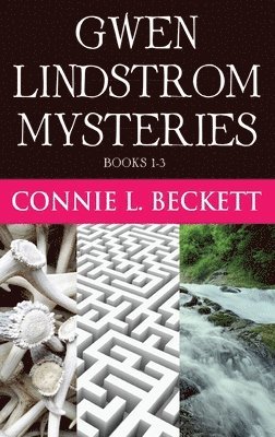 bokomslag Gwen Lindstrom Mysteries - Books 1-3