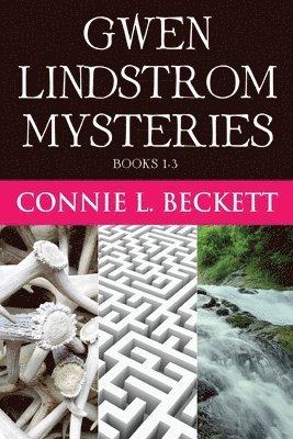 bokomslag Gwen Lindstrom Mysteries - Books 1-3