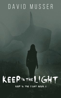 bokomslag Keep In The Light