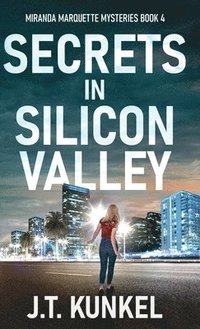 bokomslag Secrets in Silicon Valley