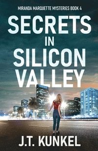 bokomslag Secrets in Silicon Valley