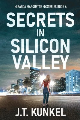 bokomslag Secrets in Silicon Valley