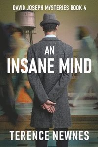 bokomslag Insane Mind